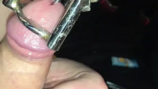 Watch How My Little Piggy Is Allowed to Watch