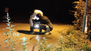 Horny Milf Gives Passionate Rimjob On A Public