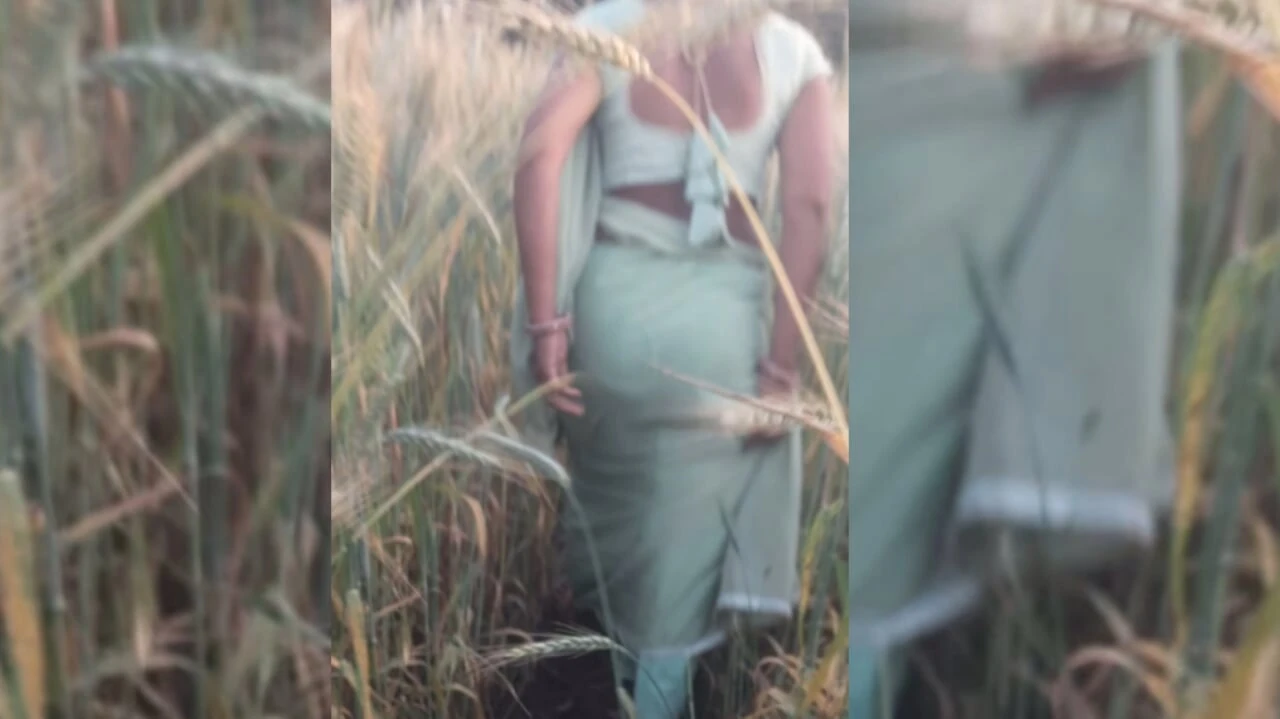 Desi beautiful sister-in-law is rubbing her ass in the wheat field Tormenting her brother-in-law for sex Rubbing her fat ass in the open field for sex